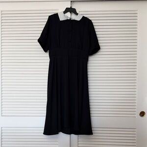 Alexia Admor Black Midi Dress with White Collar